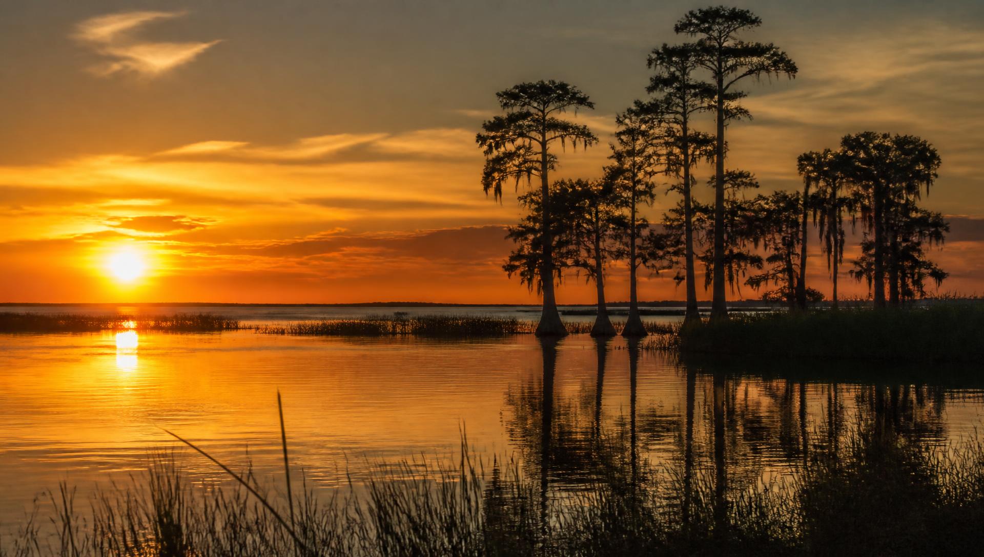 Sunset over Lake Okeechobee with cypress trees and marsh grass near Clewiston, Florida